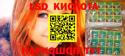 стаф Кузнецк