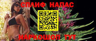 стаф Кузнецк