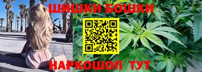 стаф Кузнецк