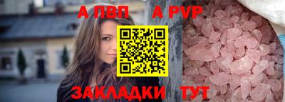 стаф Кузнецк