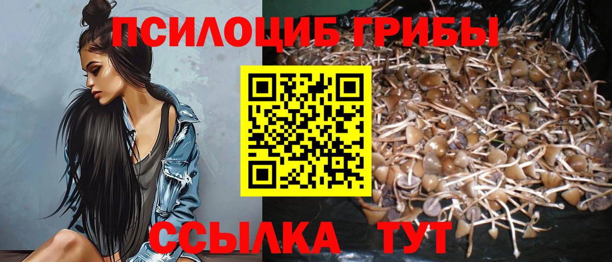 Псилоцибиновые грибы ЛСД  Вход с VPN  Гулькевичи 